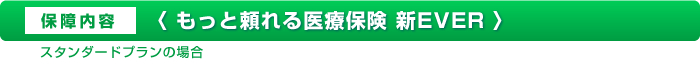 保障内容