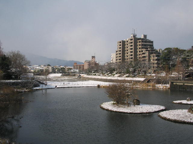 2010yuki.JPG